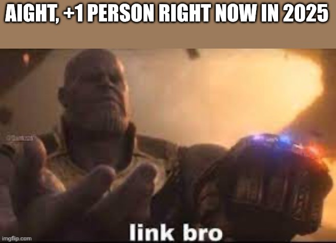 link bro | AIGHT, +1 PERSON RIGHT NOW IN 2025 | image tagged in link bro | made w/ Imgflip meme maker