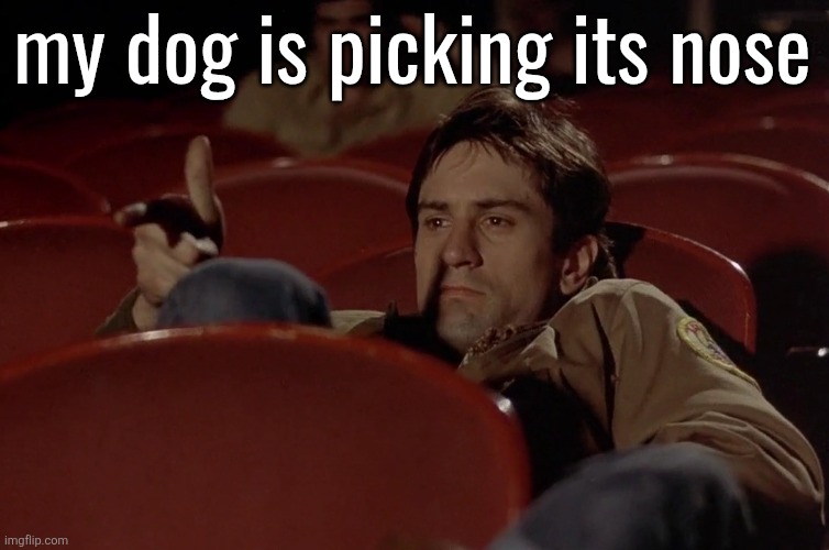 Robert De Niro in movie theater | my dog is picking its nose | image tagged in robert de niro in movie theater | made w/ Imgflip meme maker