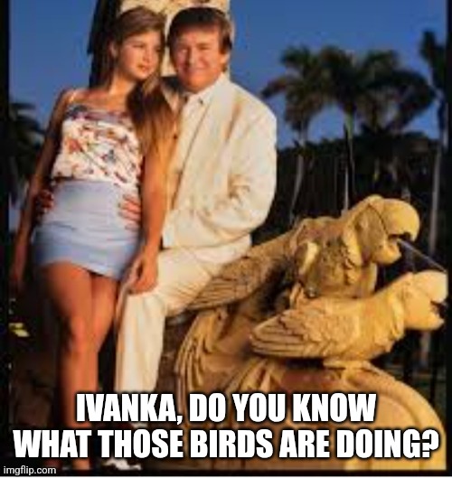 Americas favorite pedo | IVANKA, DO YOU KNOW WHAT THOSE BIRDS ARE DOING? | image tagged in americas favorite pedo | made w/ Imgflip meme maker