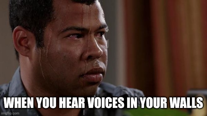 I'm in your walls heehee | WHEN YOU HEAR VOICES IN YOUR WALLS | image tagged in sweating bullets | made w/ Imgflip meme maker