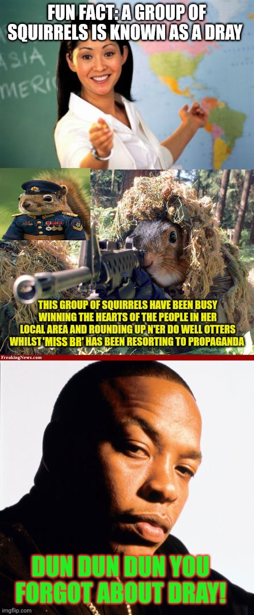 SQWAR day 81: in evry urban and country env., there is a squirrel within 30yds of u bringing harmony to nature. Enjoy :)) | 'MISS BR' | image tagged in squirrel troops on the move,squirrel awareness month,only wrong uns dont celebrate,shh cammnt mention her name | made w/ Imgflip meme maker