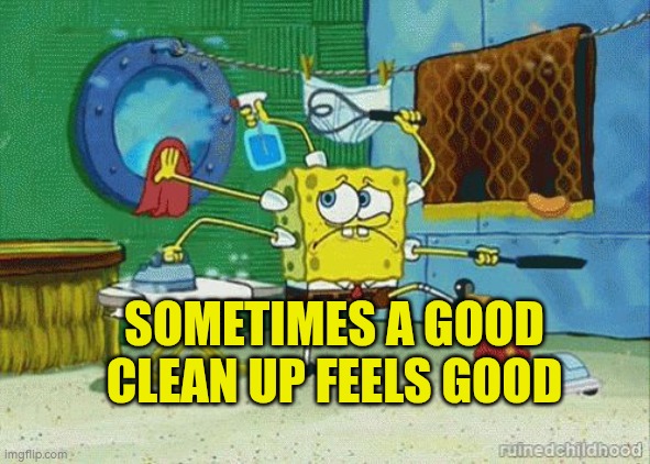 Sometimes a good clean up feel good | SOMETIMES A GOOD CLEAN UP FEELS GOOD | image tagged in cleaning,autism,tidy up,wellbeing,hygiene | made w/ Imgflip meme maker