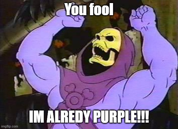 You Fool Skeletor | You fool IM ALREDY PURPLE!!! | image tagged in you fool skeletor | made w/ Imgflip meme maker