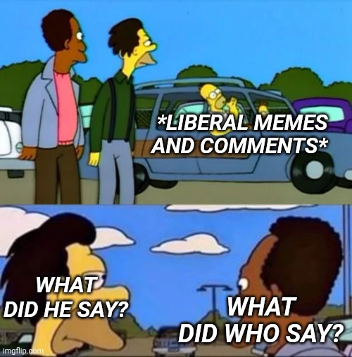 The views and upvote numbers don't lie. | *LIBERAL MEMES AND COMMENTS*; WHAT DID HE SAY? WHAT DID WHO SAY? | image tagged in what did he say i don't know something about being gay | made w/ Imgflip meme maker