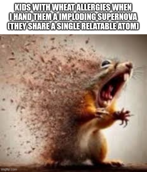 someone get an epipen :( | KIDS WITH WHEAT ALLERGIES WHEN I HAND THEM A IMPLODING SUPERNOVA (THEY SHARE A SINGLE RELATABLE ATOM) | image tagged in memes,squirrel | made w/ Imgflip meme maker