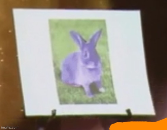 What if it was purple? | image tagged in what if it was purple,rabbit | made w/ Imgflip meme maker