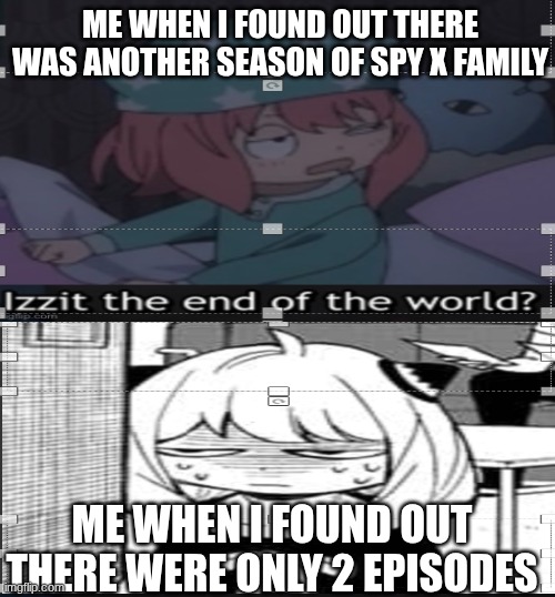 ME WHEN I FOUND OUT THERE WAS ANOTHER SEASON OF SPY X FAMILY; ME WHEN I FOUND OUT THERE WERE ONLY 2 EPISODES | made w/ Imgflip meme maker