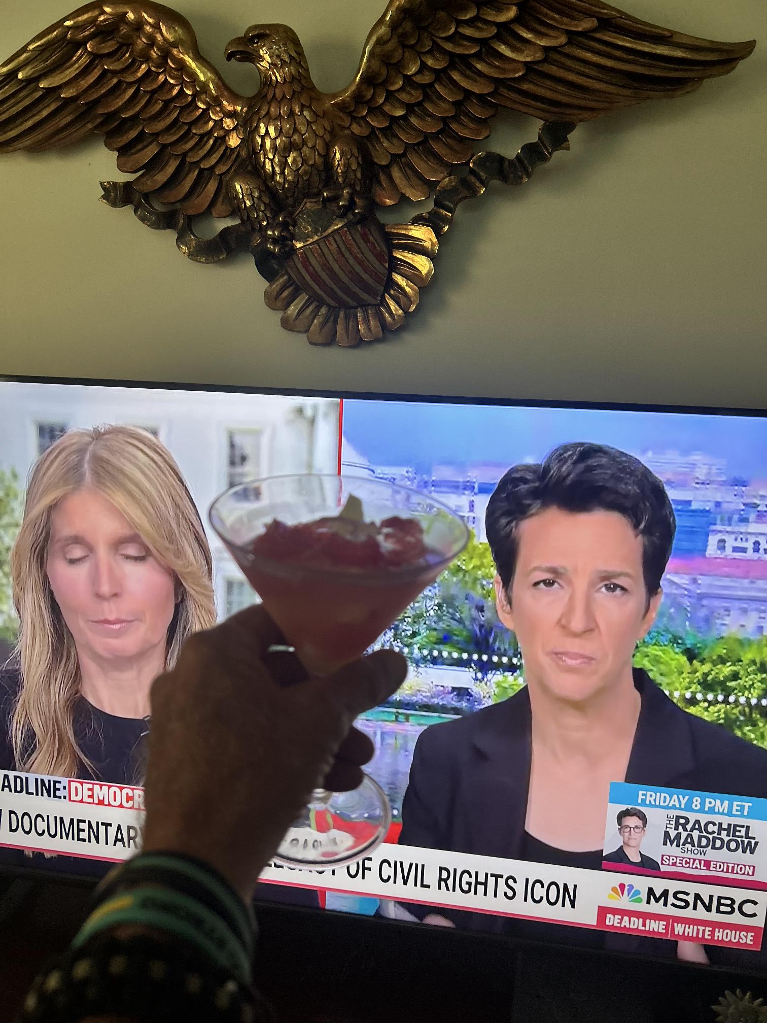 High Quality threat to democracy  threat to democracy Blank Meme Template