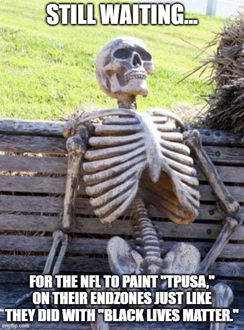 NFL | STILL WAITING... FOR THE NFL TO PAINT "TPUSA," ON THEIR ENDZONES JUST LIKE THEY DID WITH "BLACK LIVES MATTER." | image tagged in waiting skeleton,political meme,nfl,nfl football,nfl logic | made w/ Imgflip meme maker