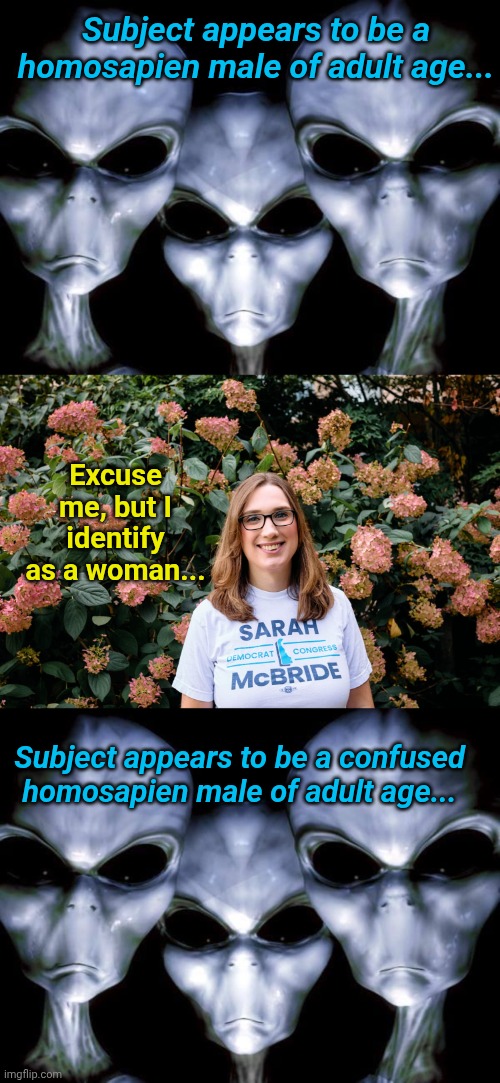 Aliens when it comes to Human Politics... | Subject appears to be a homosapien male of adult age... Excuse me, but I identify as a woman... Subject appears to be a confused homosapien male of adult age... | image tagged in grey aliens,sarah mcbride | made w/ Imgflip meme maker