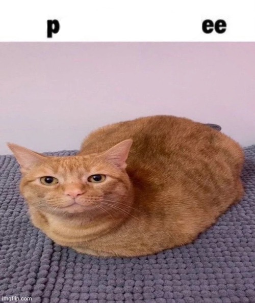 pee | image tagged in car | made w/ Imgflip meme maker