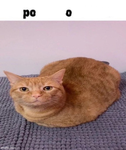 poo | image tagged in car | made w/ Imgflip meme maker