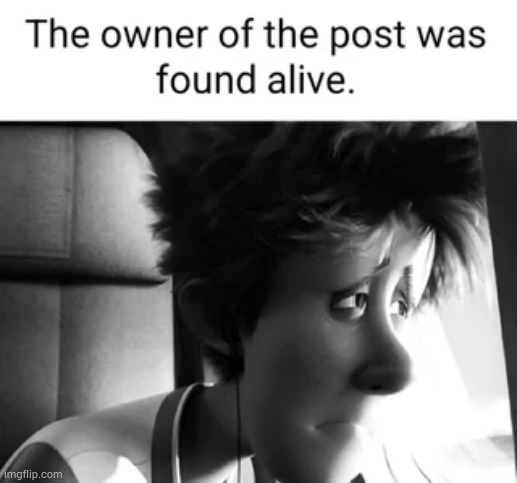 The owner of this post was found alive. | image tagged in the owner of this post was found alive | made w/ Imgflip meme maker
