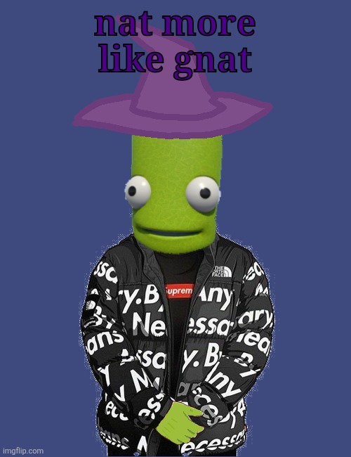 SPOOKY epilektoi drip | nat more like gnat | image tagged in spooky epilektoi drip | made w/ Imgflip meme maker