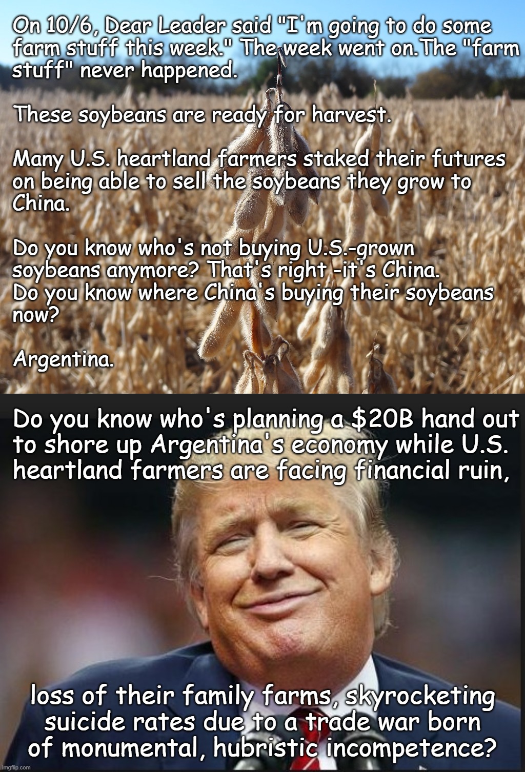 If Joe Biden was the one "putting China first," why is Dear Leader looking to bail out China's new soybean dealer? | On 10/6, Dear Leader said "I'm going to do some
farm stuff this week." The week went on.The "farm
stuff" never happened.
 
These soybeans are ready for harvest.
 
Many U.S. heartland farmers staked their futures
on being able to sell the soybeans they grow to
China.
 
Do you know who's not buying U.S.-grown
soybeans anymore? That's right -it's China. 

Do you know where China's buying their soybeans
now?
 
Argentina. Do you know who's planning a $20B hand out
to shore up Argentina's economy while U.S.

heartland farmers are facing financial ruin, loss of their family farms, skyrocketing
suicide rates due to a trade war born
of monumental, hubristic incompetence? | image tagged in trump asshole grin,trump is america's worst enemy,invasion from within,trump unfit unqualified dangerous | made w/ Imgflip meme maker