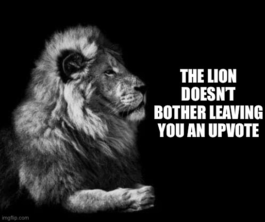 the lion.. | THE LION DOESN’T BOTHER LEAVING YOU AN UPVOTE | image tagged in the lion | made w/ Imgflip meme maker