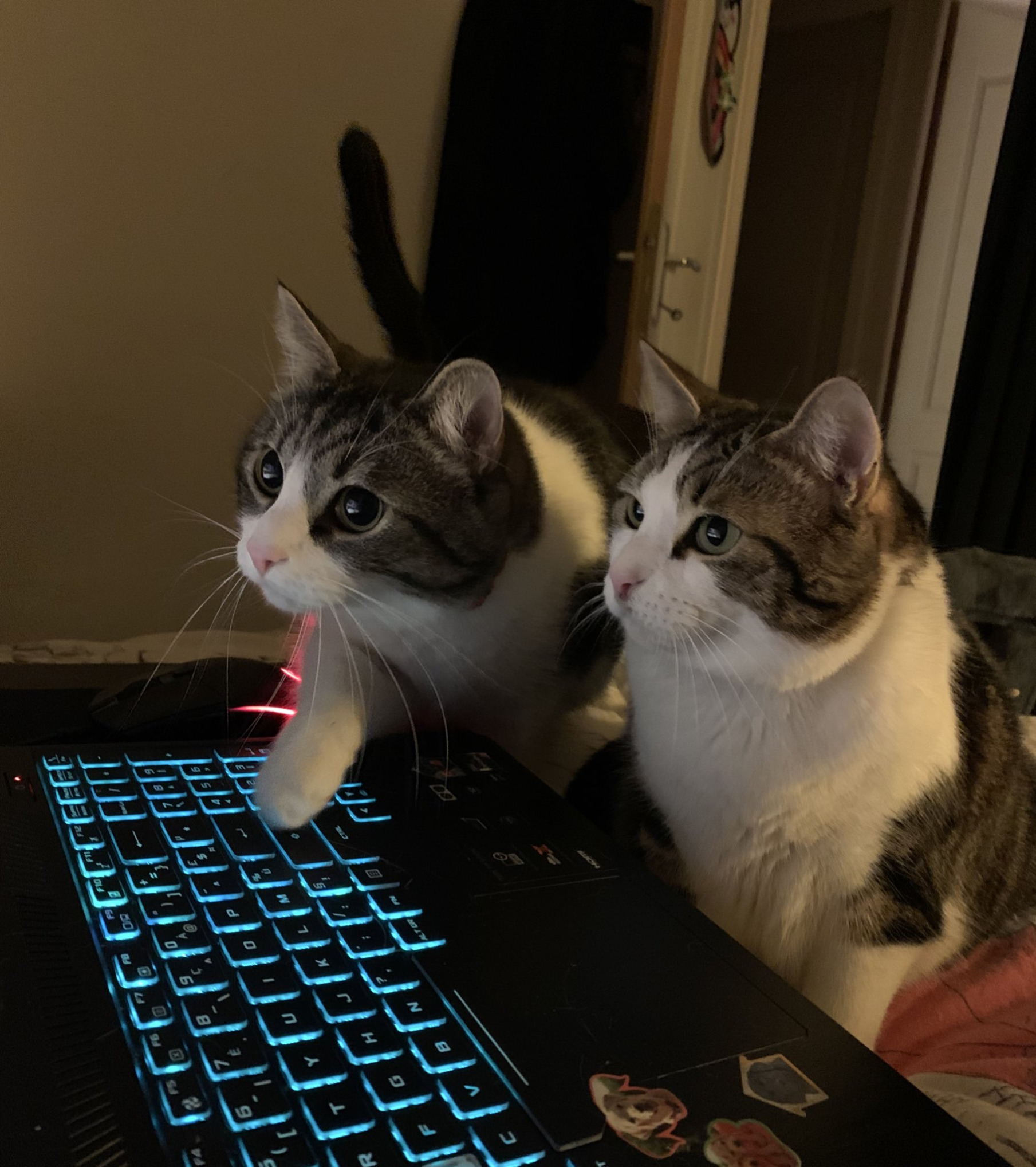 Toto pc Blank Meme Template