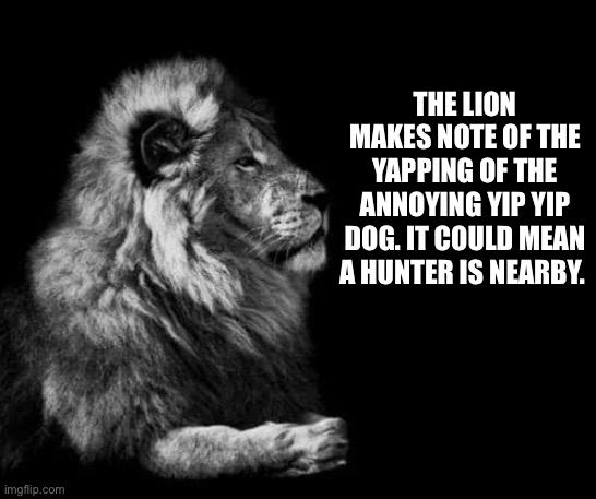 humor is in subverted expectations | THE LION MAKES NOTE OF THE YAPPING OF THE ANNOYING YIP YIP DOG. IT COULD MEAN A HUNTER IS NEARBY. | image tagged in the lion | made w/ Imgflip meme maker