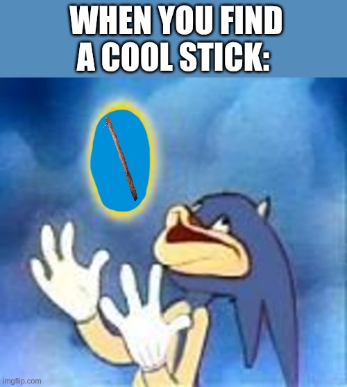 The perfect stick! | WHEN YOU FIND A COOL STICK: | image tagged in derp sonic | made w/ Imgflip meme maker