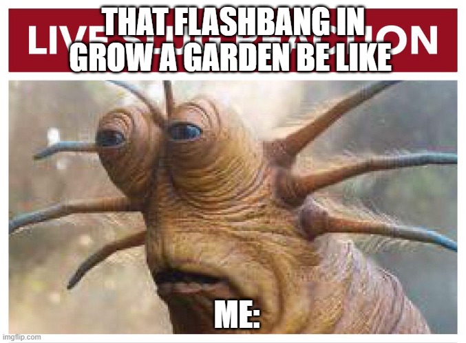 HELP | THAT FLASHBANG IN GROW A GARDEN BE LIKE; ME: | image tagged in live slug reaction | made w/ Imgflip meme maker