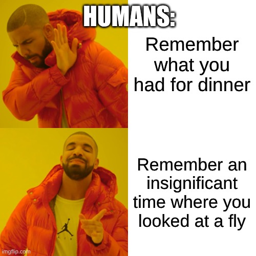am I right? | HUMANS:; Remember what you had for dinner; Remember an insignificant time where you looked at a fly | image tagged in memes,drake hotline bling | made w/ Imgflip meme maker