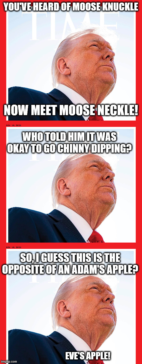 YOU'VE HEARD OF MOOSE KNUCKLE; NOW MEET MOOSE NECKLE! WHO TOLD HIM IT WAS OKAY TO GO CHINNY DIPPING? SO, I GUESS THIS IS THE OPPOSITE OF AN ADAM'S APPLE? EVE'S APPLE! | made w/ Imgflip meme maker