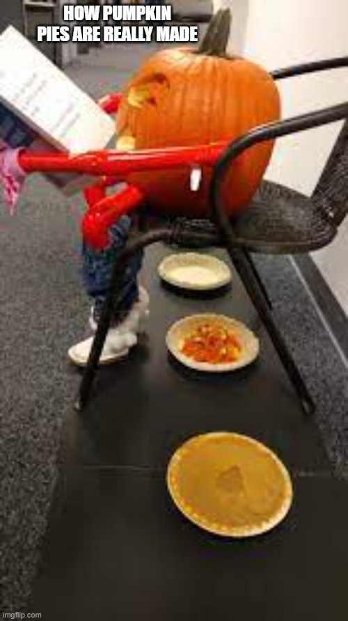 How pumpkin pies are made for Halloween.   --  funny  -- | HOW PUMPKIN PIES ARE REALLY MADE | image tagged in funny,halloween,pumpkin pie,pumpkin,humor,funny meme | made w/ Imgflip meme maker