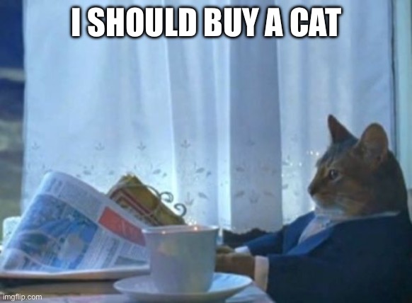 I Should Buy A Boat Cat | I SHOULD BUY A CAT | image tagged in memes,i should buy a boat cat | made w/ Imgflip meme maker