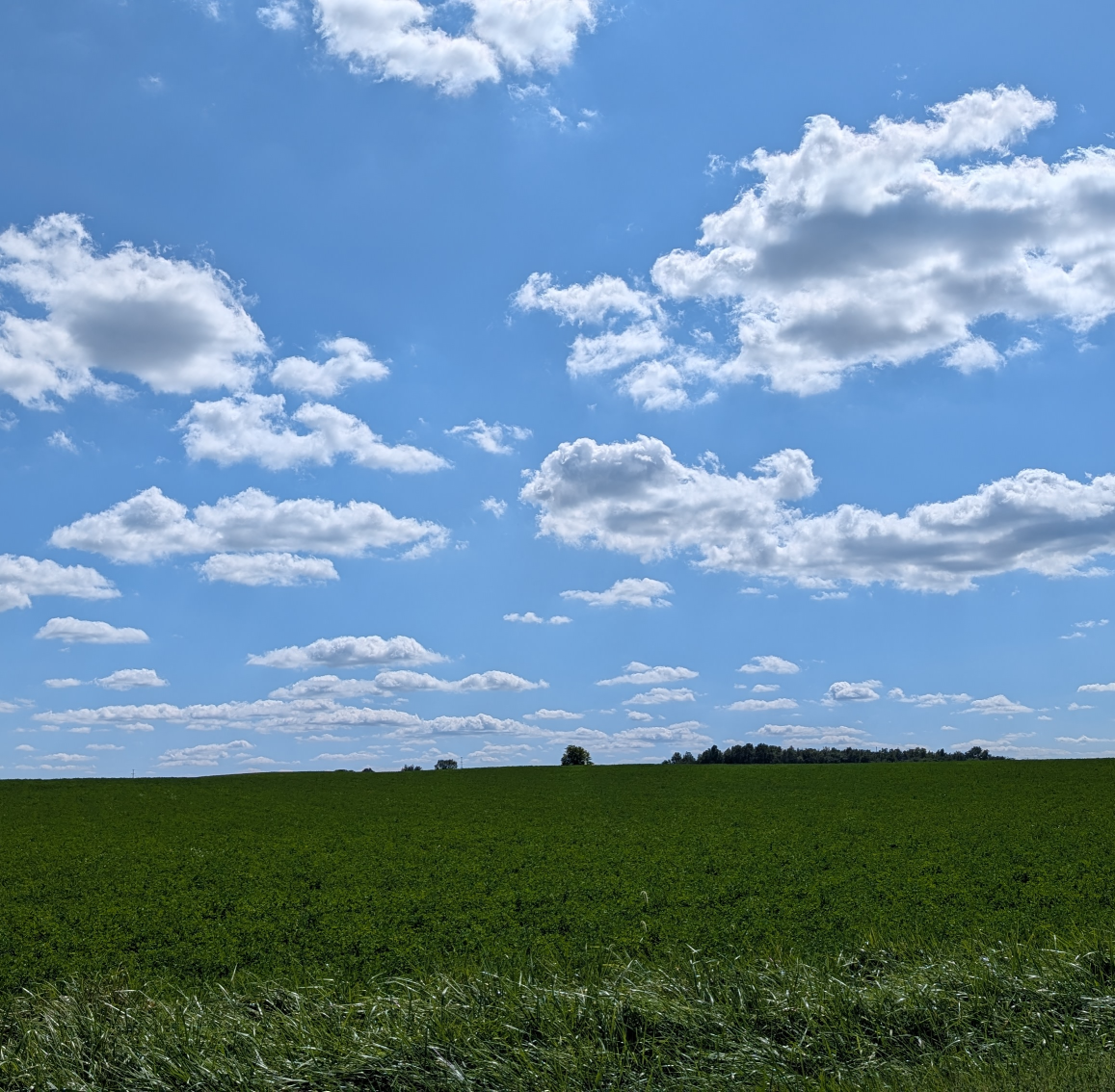 High Quality Cloudy sky Blank Meme Template