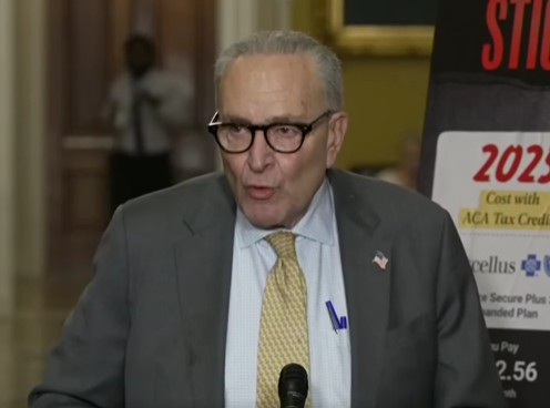 Wanna be King Blank Meme Template