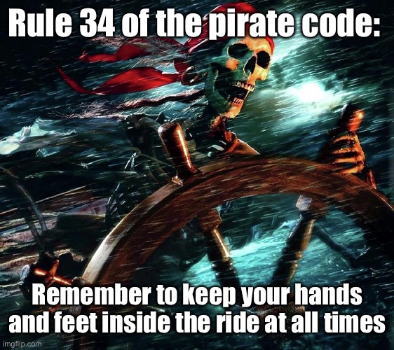 . | Rule 34 of the pirate code:; Remember to keep your hands and feet inside the ride at all times | made w/ Imgflip meme maker