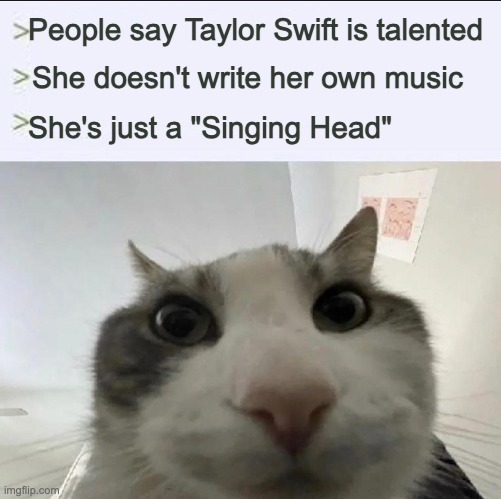 Cat looks inside | People say Taylor Swift is talented; She doesn't write her own music; She's just a "Singing Head" | image tagged in cat looks inside,taylor swift,diss,music,meme | made w/ Imgflip meme maker
