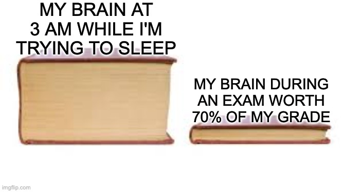 Exams | MY BRAIN AT 3 AM WHILE I'M TRYING TO SLEEP; MY BRAIN DURING AN EXAM WORTH 70% OF MY GRADE | image tagged in big book small book | made w/ Imgflip meme maker