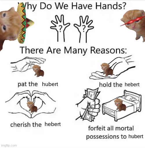 Why do we have hands? (all blank) | hubert; hebert; hebert; hubert | image tagged in why do we have hands all blank | made w/ Imgflip meme maker