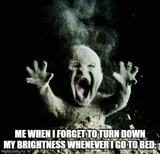 Ash baby | ME WHEN I FORGET TO TURN DOWN MY BRIGHTNESS WHENEVER I GO TO BED: | image tagged in ash baby,too bright | made w/ Imgflip meme maker