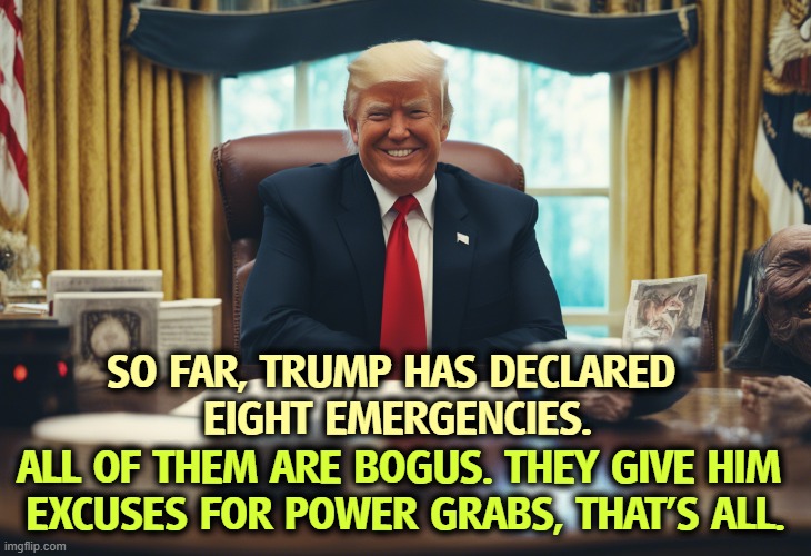 Trump is our only emergency. | SO FAR, TRUMP HAS DECLARED 
EIGHT EMERGENCIES. ALL OF THEM ARE BOGUS. THEY GIVE HIM 

EXCUSES FOR POWER GRABS, THAT'S ALL. | image tagged in trump,fake,emergencies,fake news,phony,liar | made w/ Imgflip meme maker