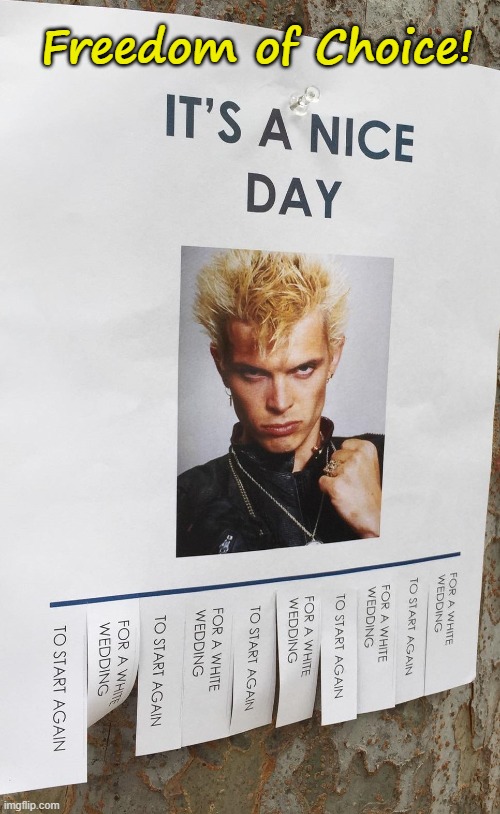Billy Idol | Freedom of Choice! | image tagged in classic rock,humor,choices | made w/ Imgflip meme maker