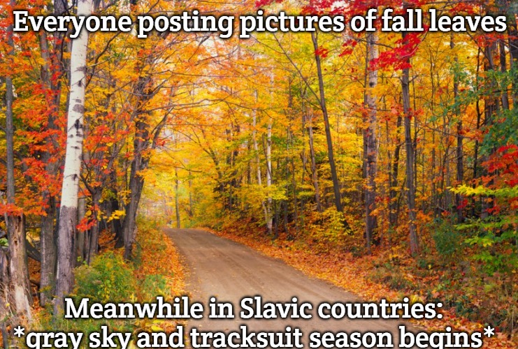 fall leaves texas | Everyone posting pictures of fall leaves; Meanwhile in Slavic countries: *gray sky and tracksuit season begins* | image tagged in fall leaves texas,slavic countries | made w/ Imgflip meme maker
