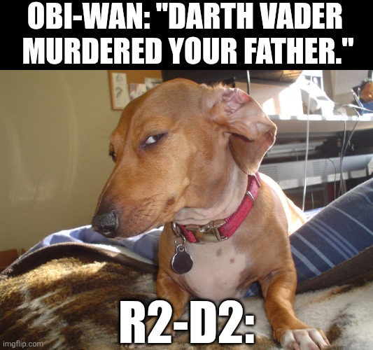 ARE YOU SURE ABOUT THAT?!?!? | OBI-WAN: "DARTH VADER 
MURDERED YOUR FATHER."; R2-D2: | image tagged in suspicious dog,star wars,r2d2,obiwan | made w/ Imgflip meme maker