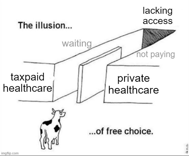 illusion of choice in healthcare | lacking access; waiting; not paying; taxpaid healthcare; private healthcare | image tagged in illusion of free choice,healthcare,economics,optimization,catch-22,aporia | made w/ Imgflip meme maker