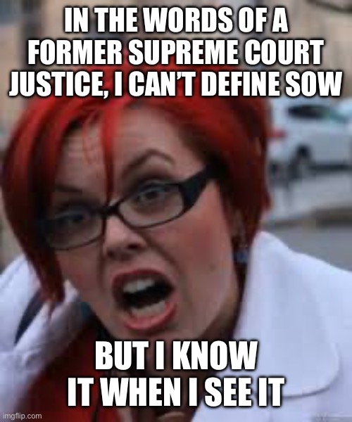 SJW Triggered | IN THE WORDS OF A FORMER SUPREME COURT JUSTICE, I CAN’T DEFINE SOW BUT I KNOW IT WHEN I SEE IT | image tagged in sjw triggered | made w/ Imgflip meme maker