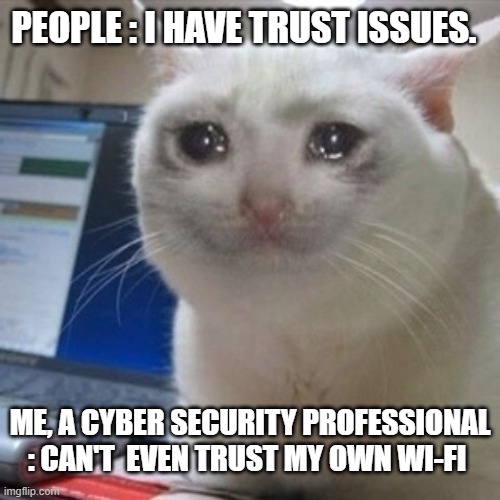 Crying cat | PEOPLE : I HAVE TRUST ISSUES. ME, A CYBER SECURITY PROFESSIONAL : CAN'T  EVEN TRUST MY OWN WI-FI | image tagged in crying cat | made w/ Imgflip meme maker