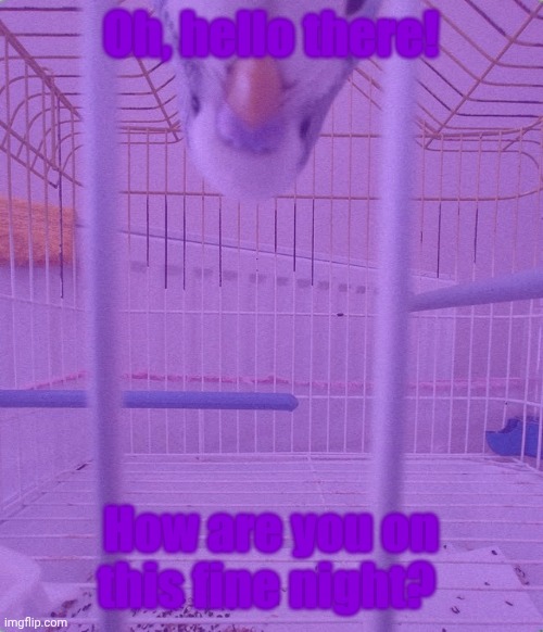 What if it was purple? | Oh, hello there! How are you on this fine night? | made w/ Imgflip meme maker