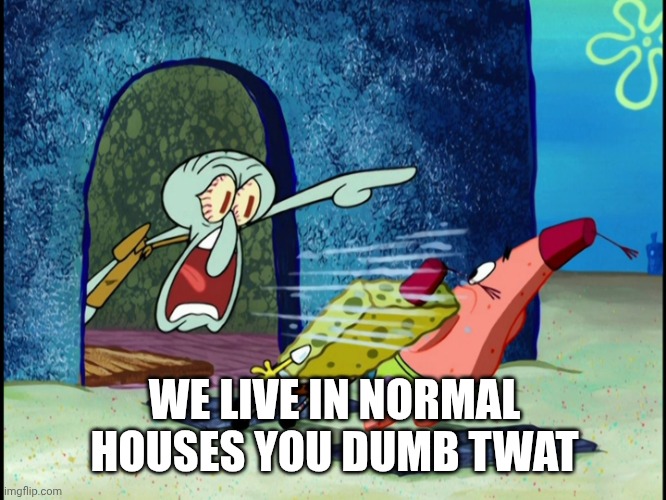 GET OUT OF MY HOUSE | WE LIVE IN NORMAL HOUSES YOU DUMB TWAT | image tagged in get out of my house | made w/ Imgflip meme maker