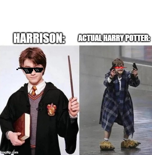pooo | ACTUAL HARRY POTTER:; HARRISON: | image tagged in harry crazy harry | made w/ Imgflip meme maker