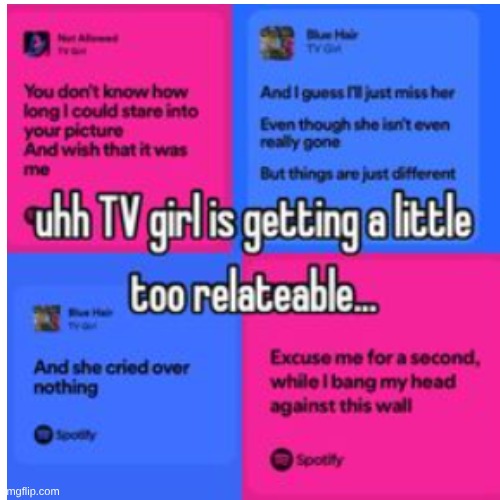 image tagged in tv girl | made w/ Imgflip meme maker
