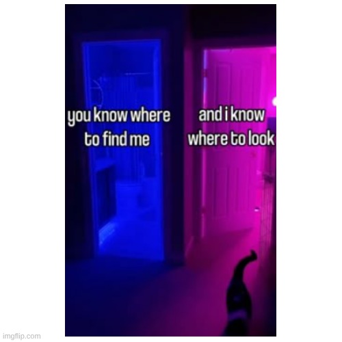 image tagged in tv girl | made w/ Imgflip meme maker