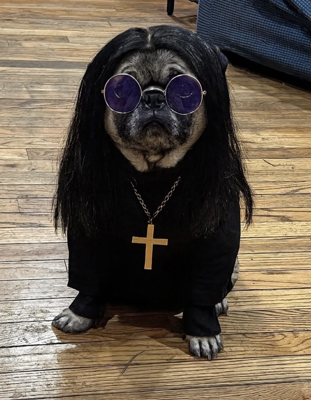 Ozzy Pawsbourne Blank Meme Template