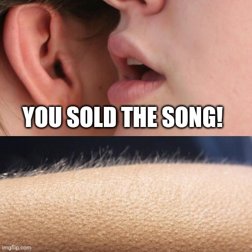 Web3 music orb | YOU SOLD THE SONG! | image tagged in whisper and goosebumps,sold song,song,music | made w/ Imgflip meme maker