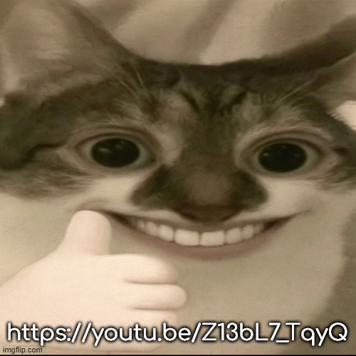 https://youtu.be/Z13bL7_TqyQ | https://youtu.be/Z13bL7_TqyQ | image tagged in bombastic side eye cat v3 | made w/ Imgflip meme maker